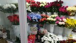 Цветы (Avsyunino Settlement, Lenina Street, 28), flower shop