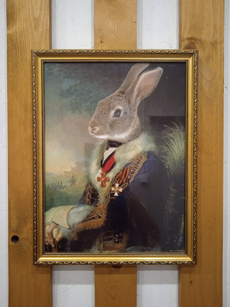 Фото Белый Кролик