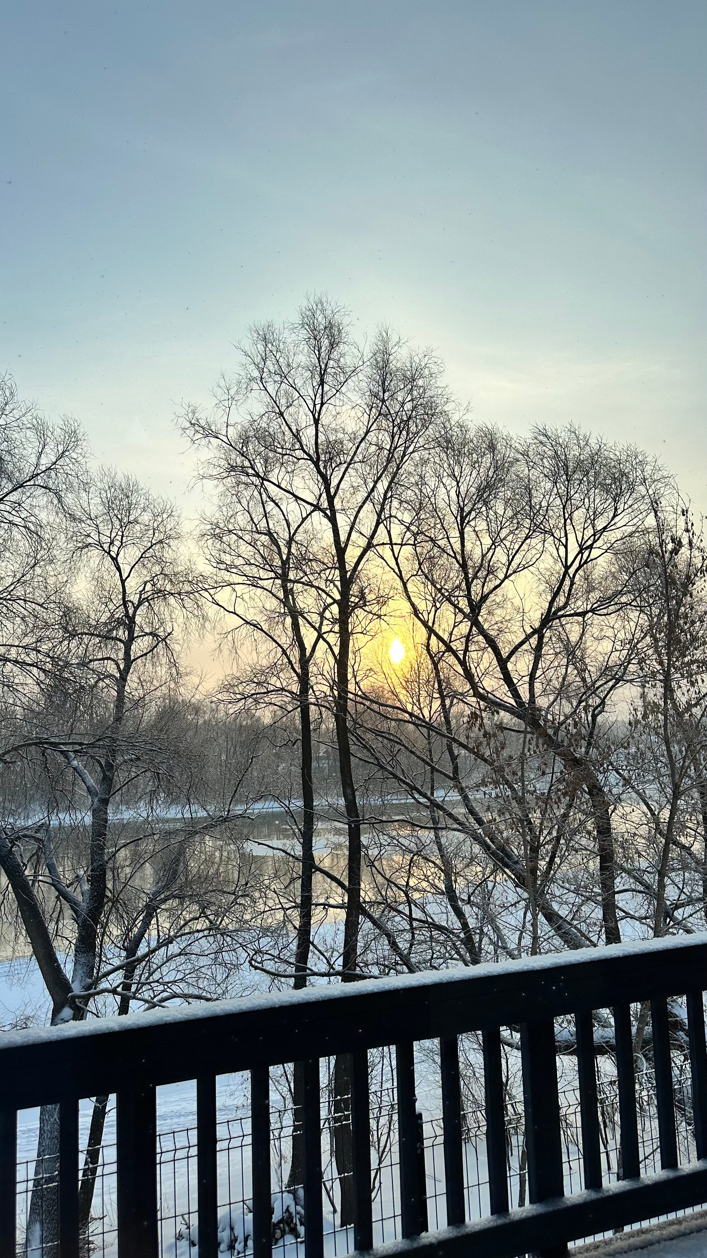 Фото Лесная Резиденция