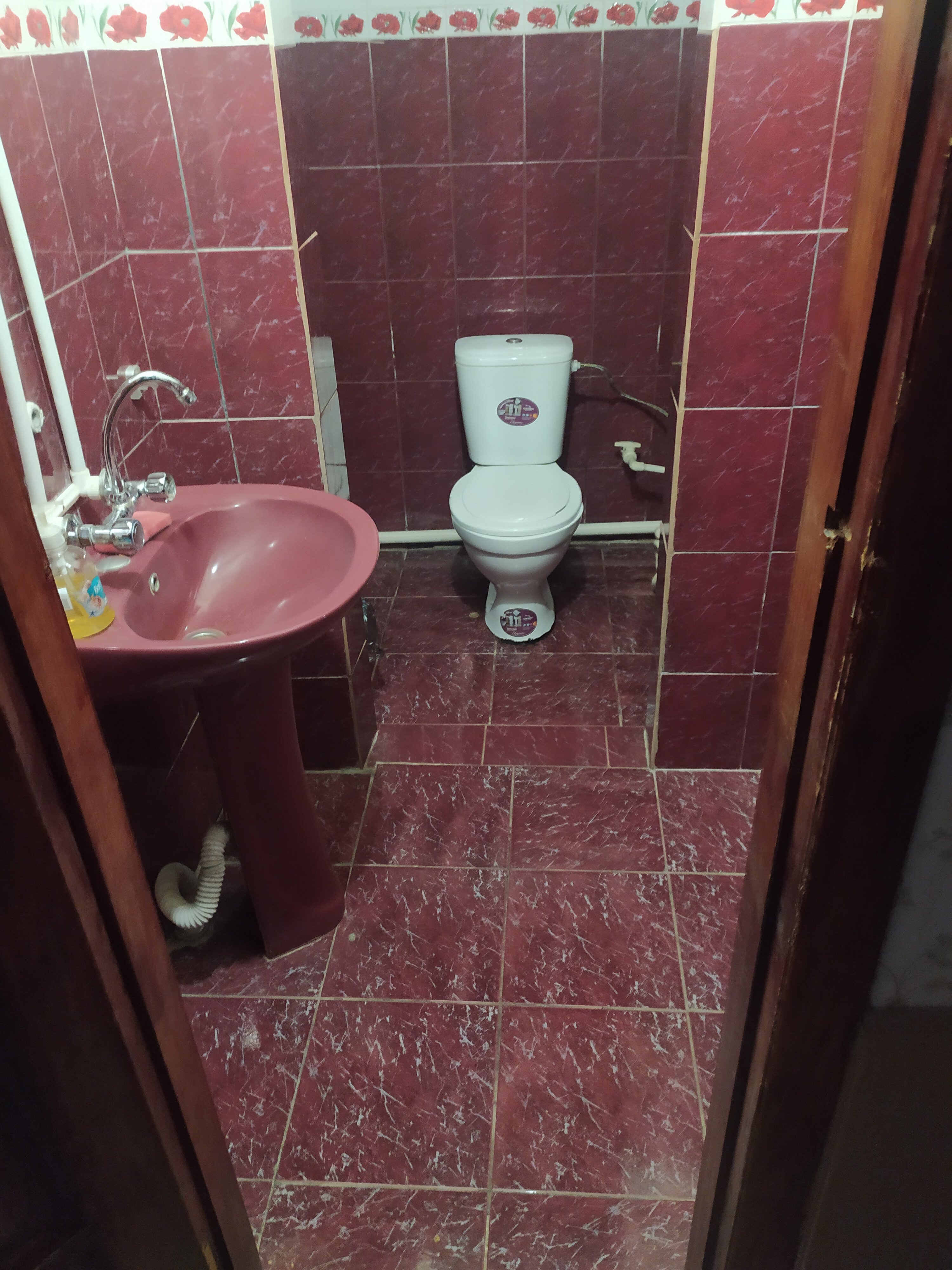 Фото Спарта