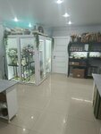 Flower Workshop Lutik (Ostrovskogo Street, 11) ، توصيل باقات الزهور