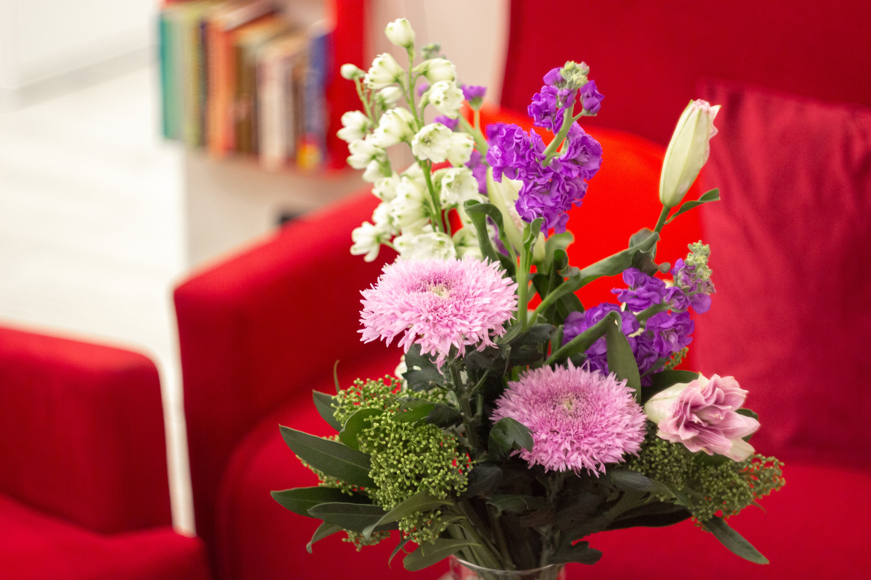 Фото 7 Слонов