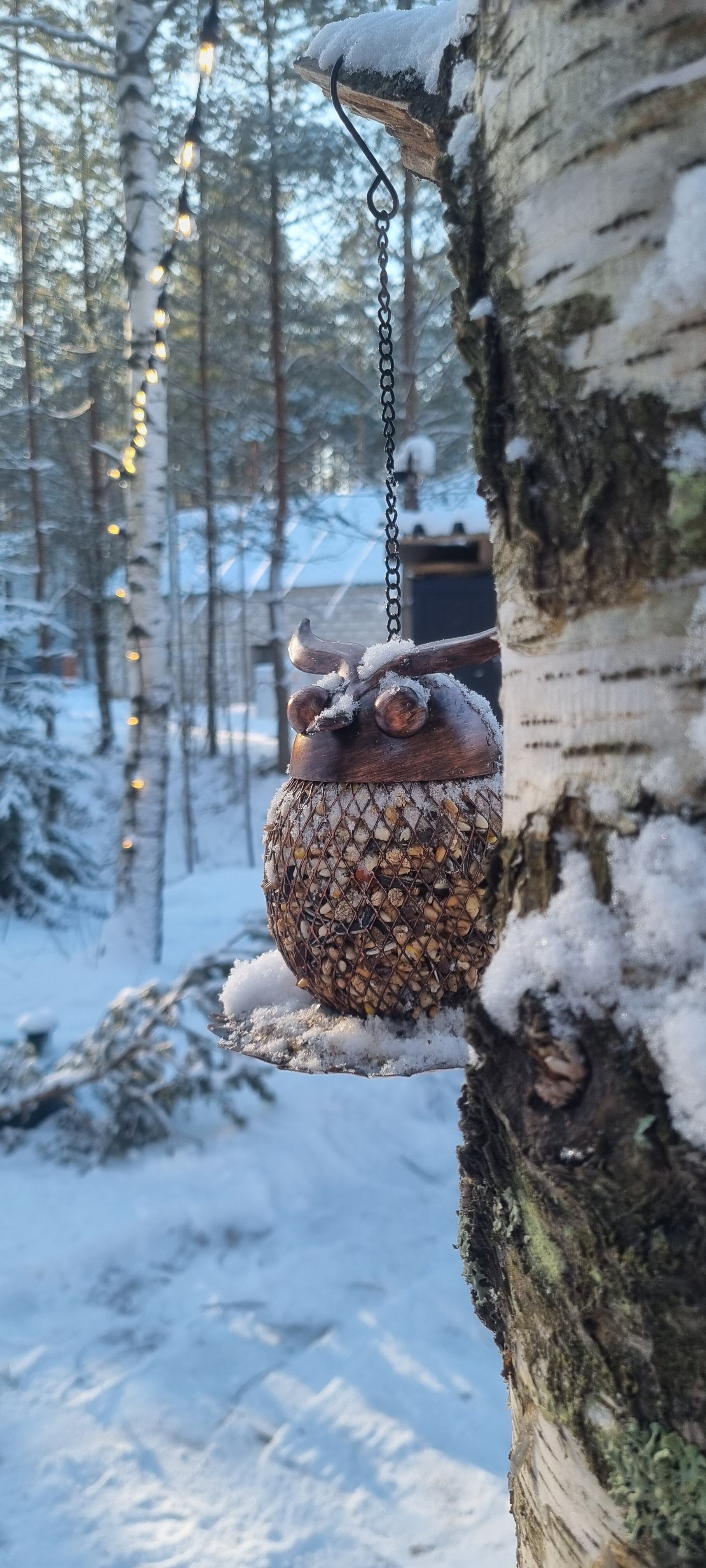 Фото Шишки Парк