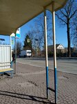 Нивенское (Kaliningrad Region, Bagrationovskiy munitsipalny okrug, posyolok Nivenskoye, ulitsa Pobedy), public transport stop