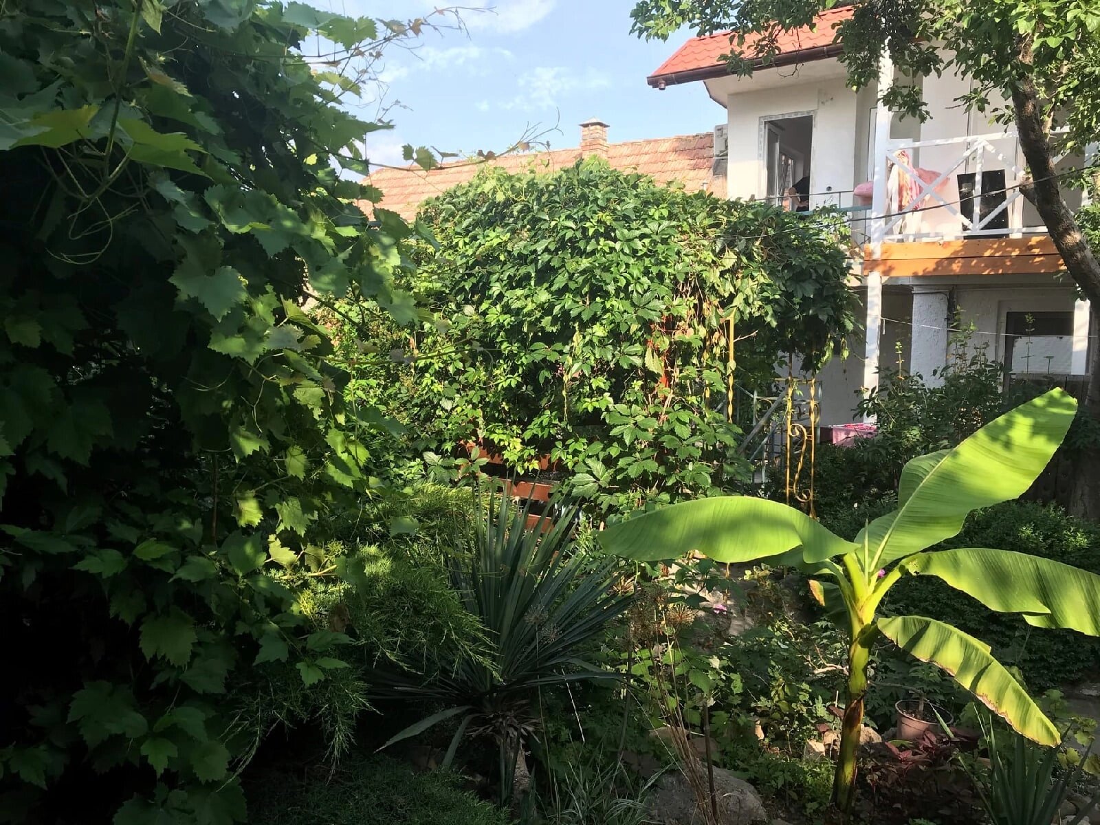 Фото Южный дворик