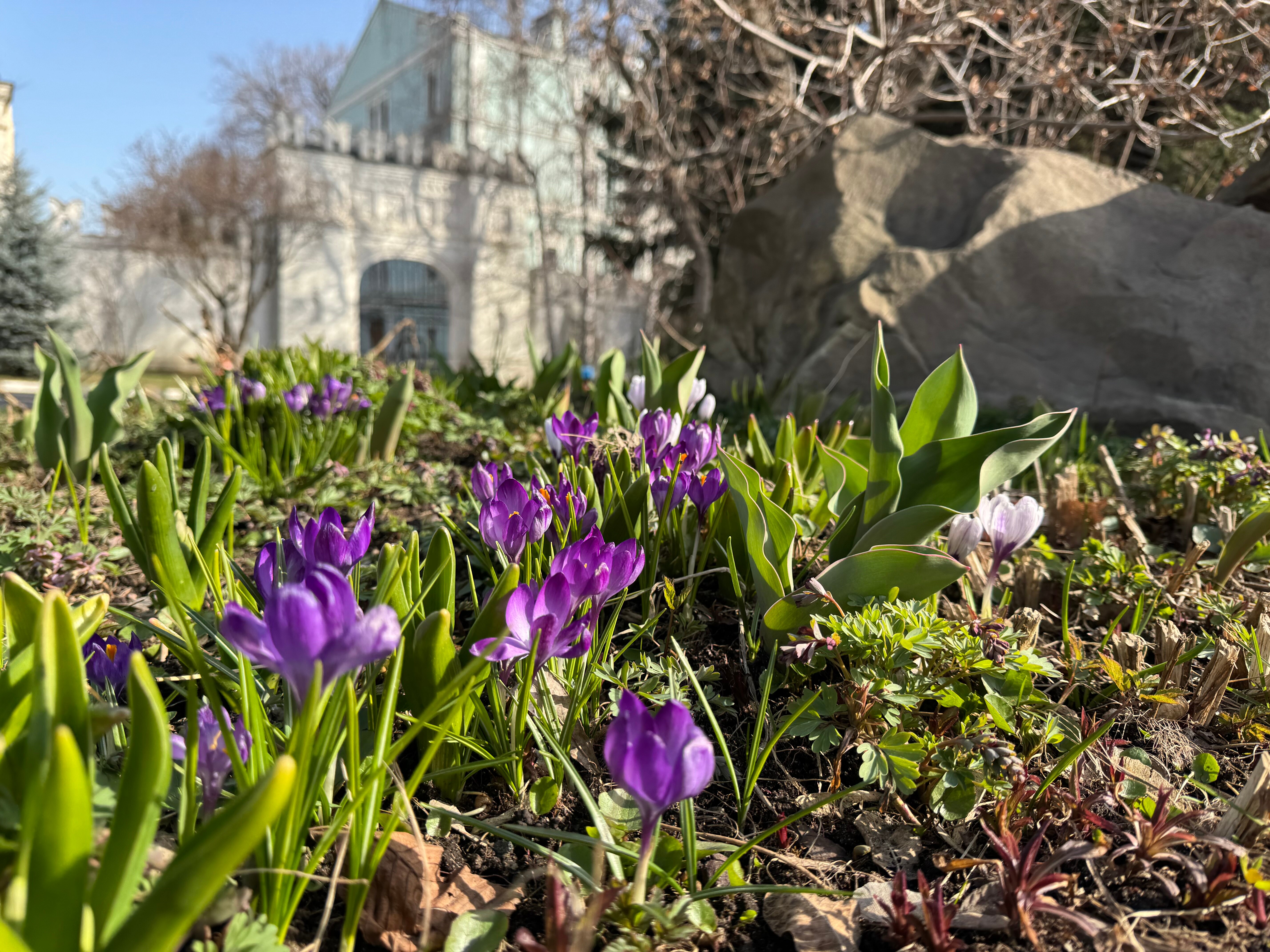 Фото Даниловская