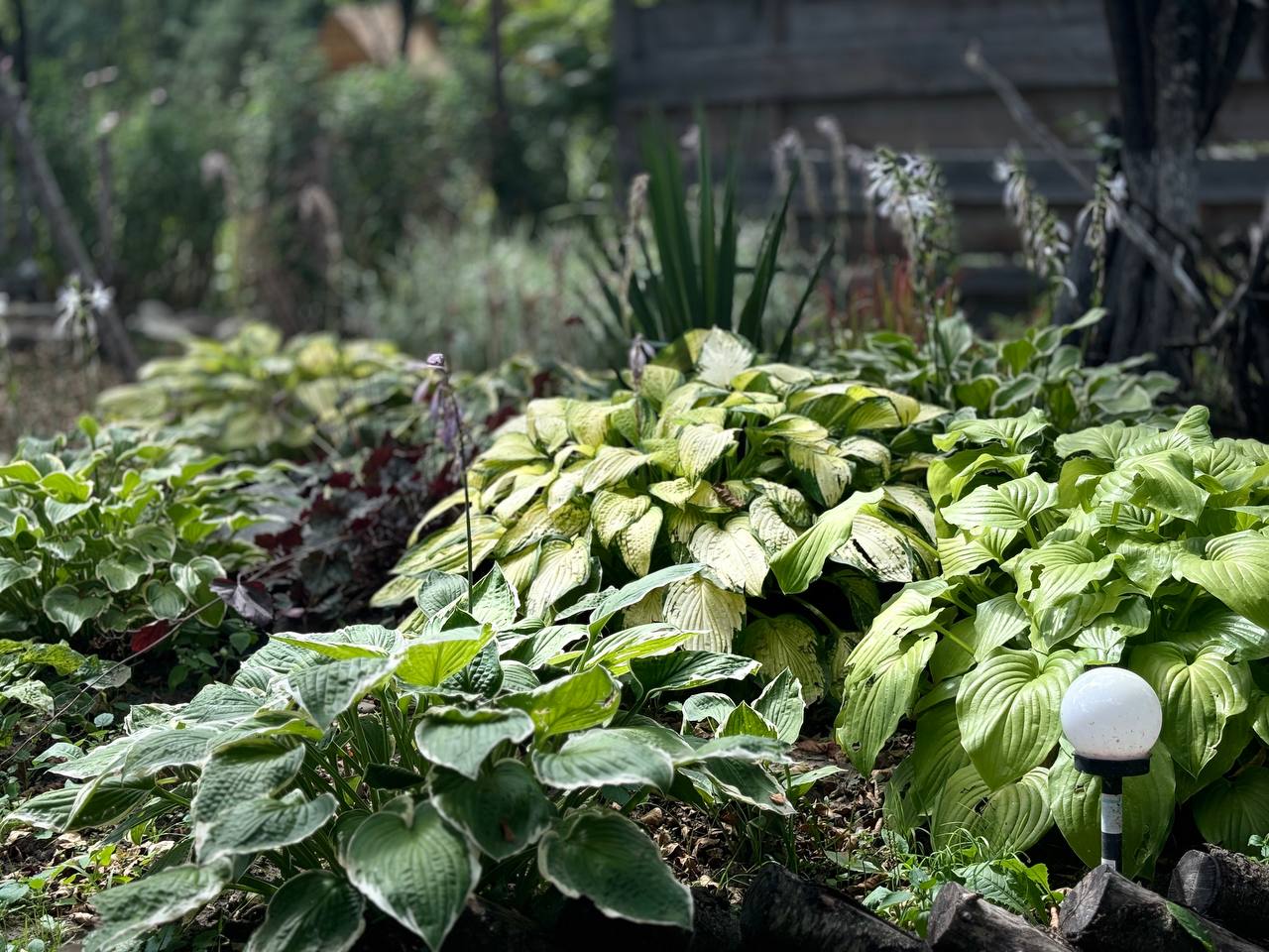 Фото Медвежий угол