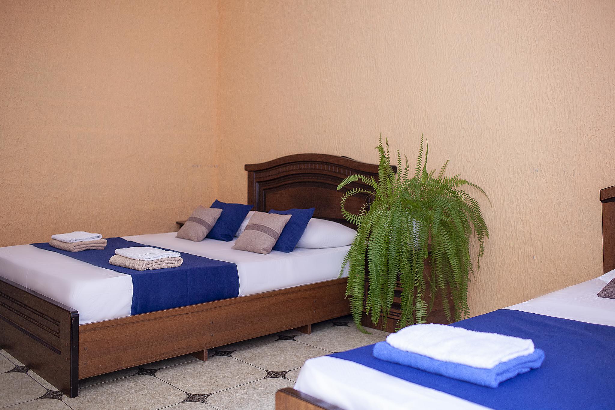 Фото Алоиза