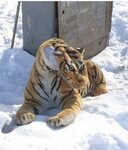 Мини-зоопарк (Staroobryadcheskiy pereulok, 4), zoo