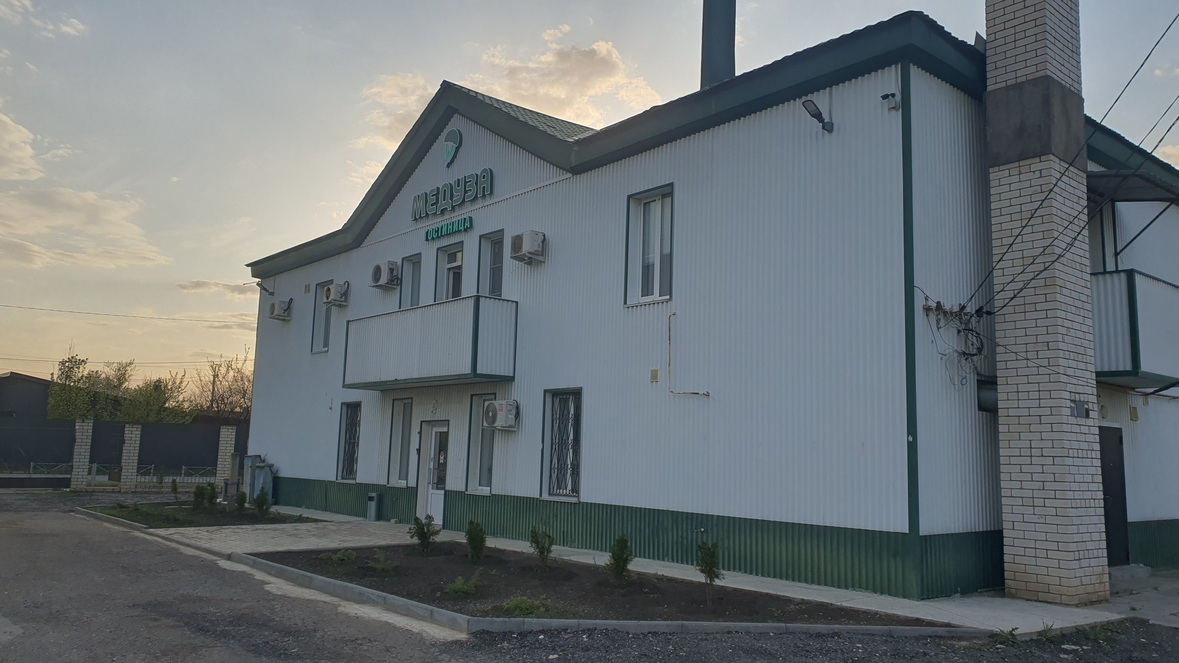 Фото Медуза