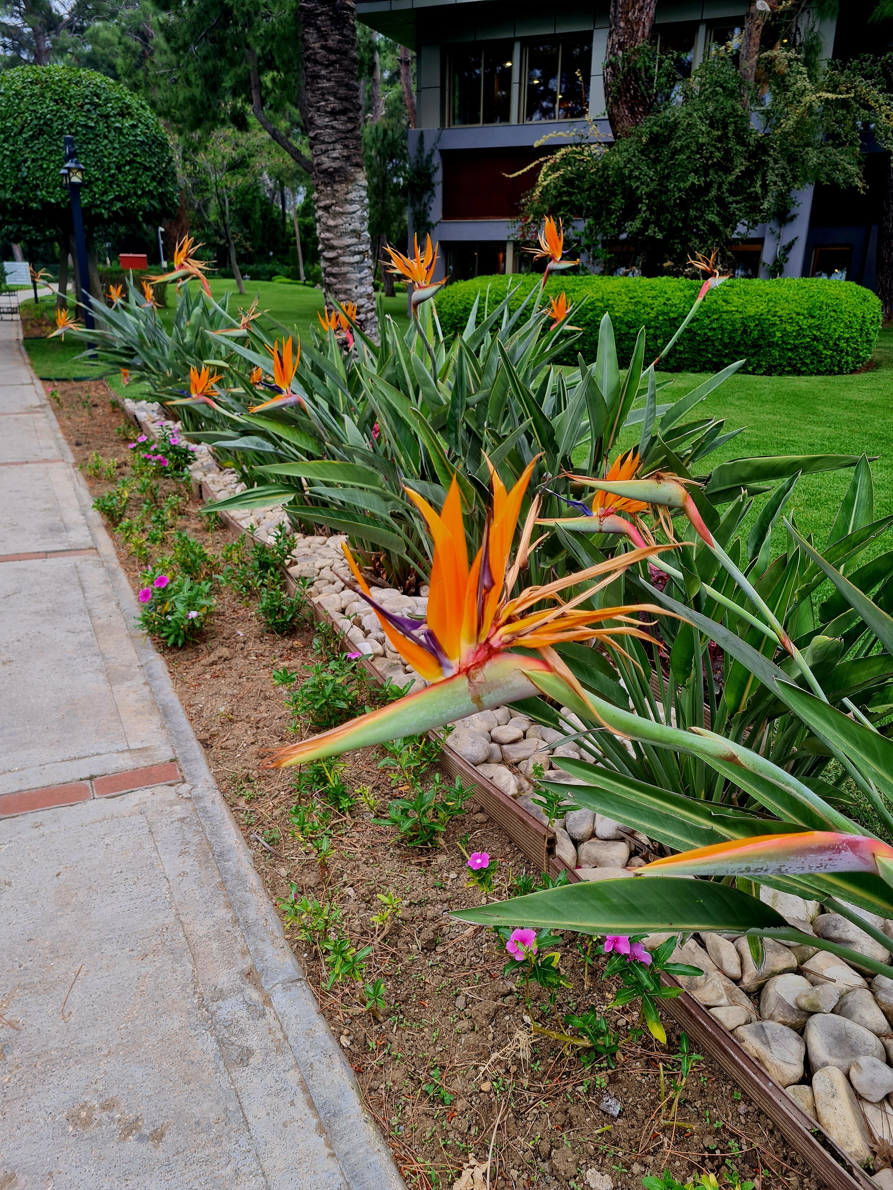 Фото Mirada Del Mar Kemer