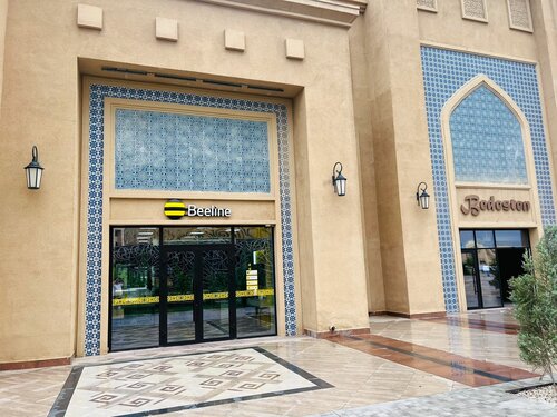 Черновцыда бір қыз секс үшін жігіт іздейді.