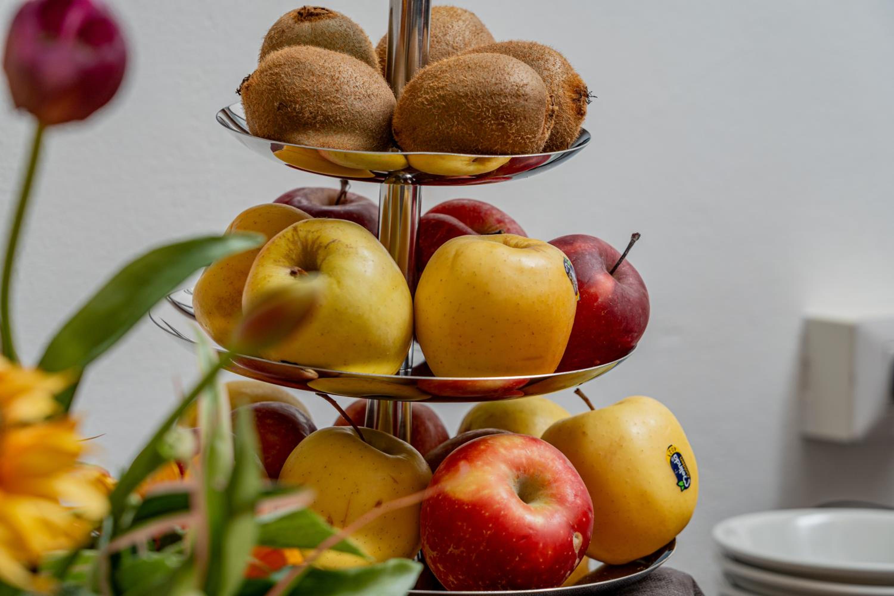 Фото Hotel El Balear