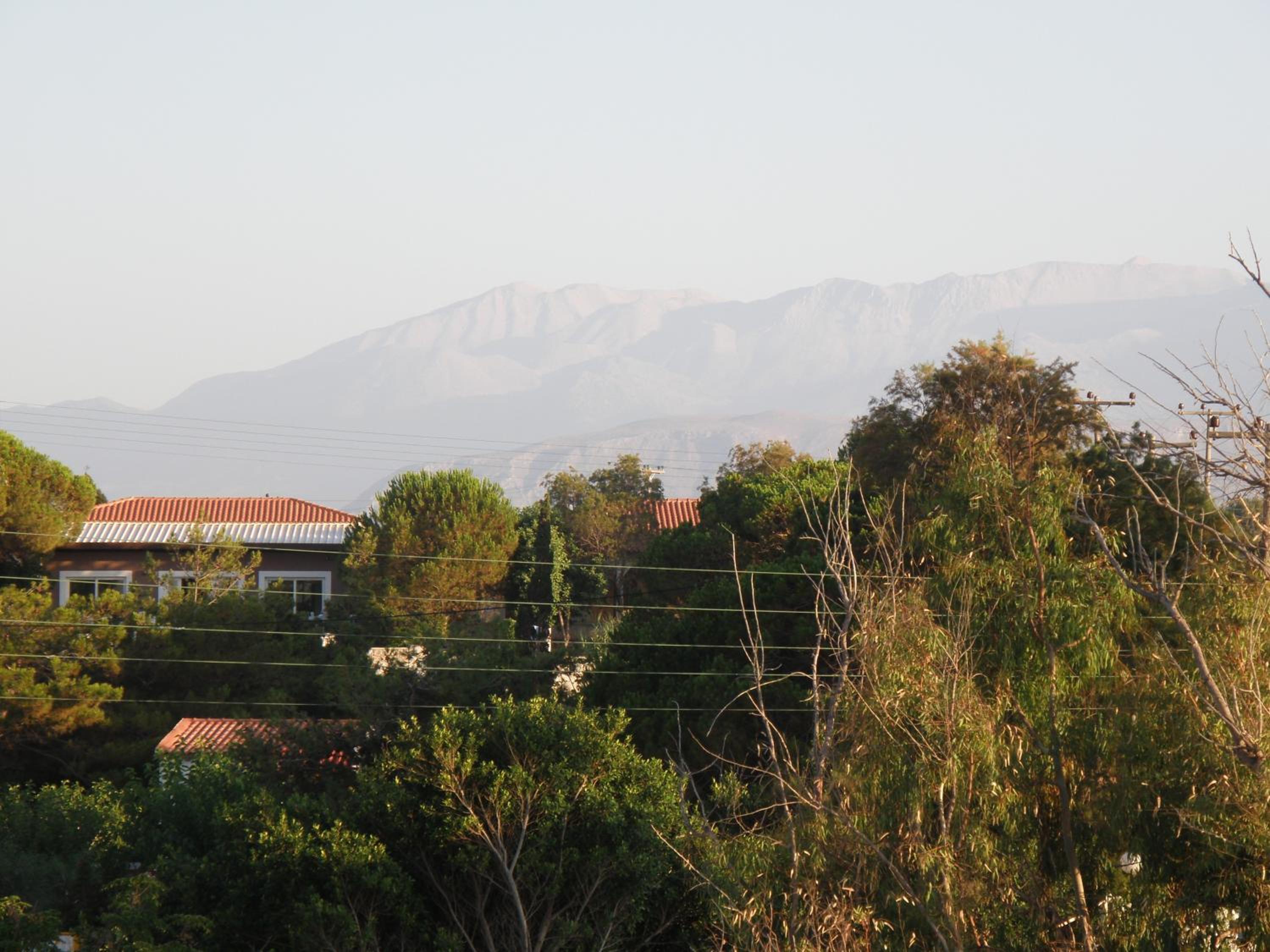 Фото Alexis Apartments