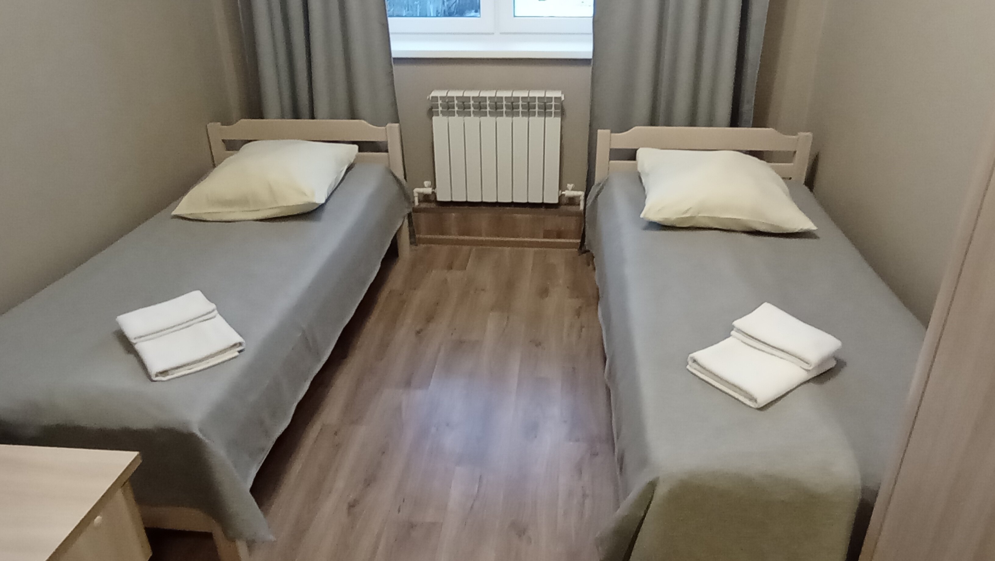 Фото Альбатрос