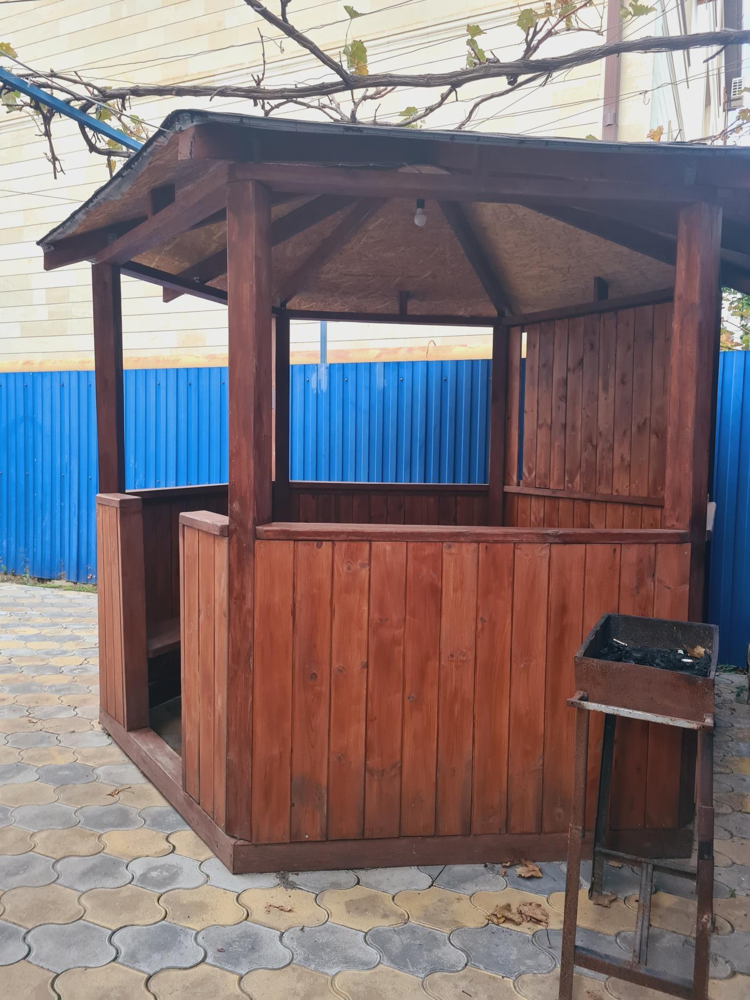 Фото Афалина