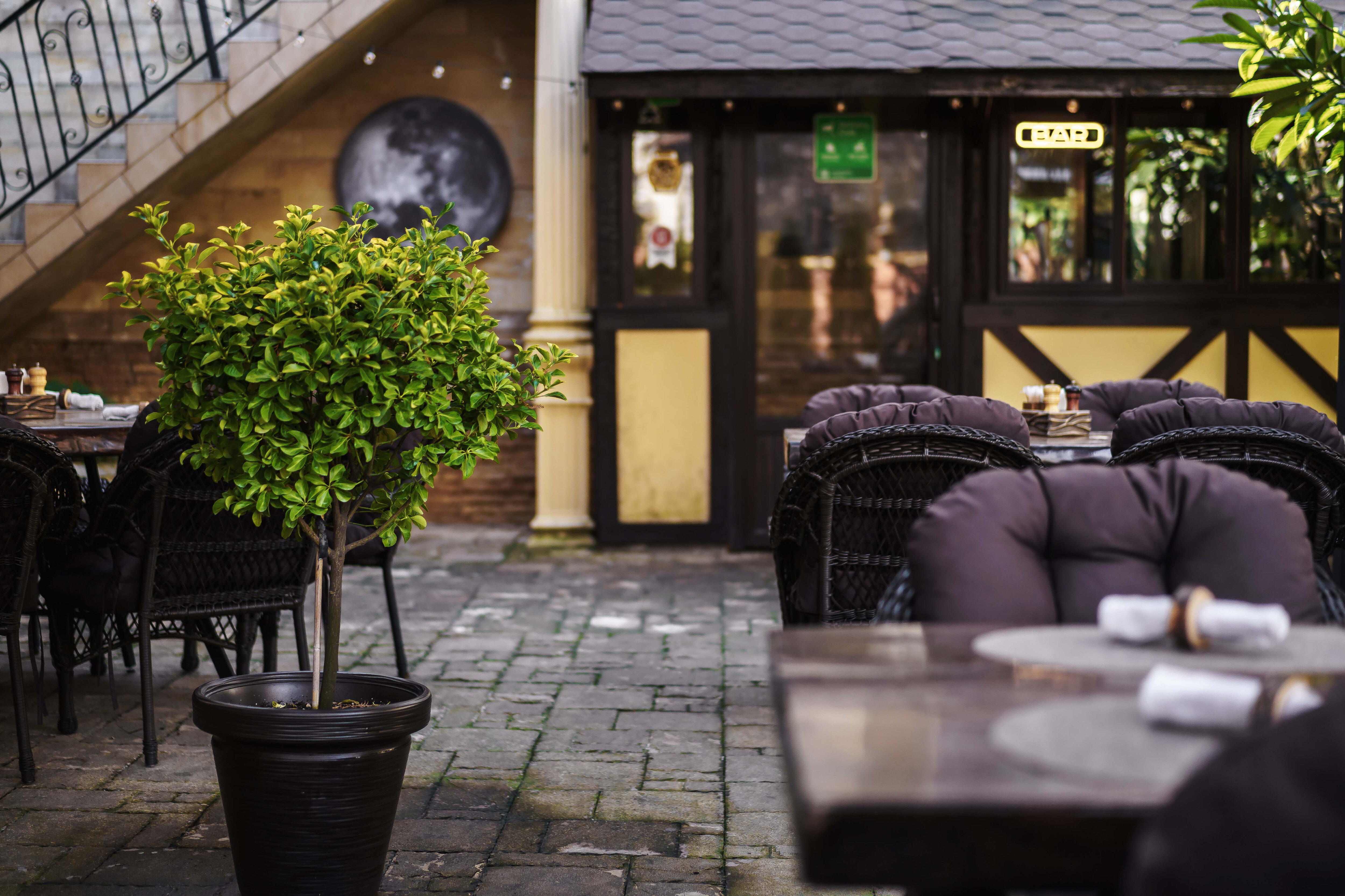 Фото Касабланка