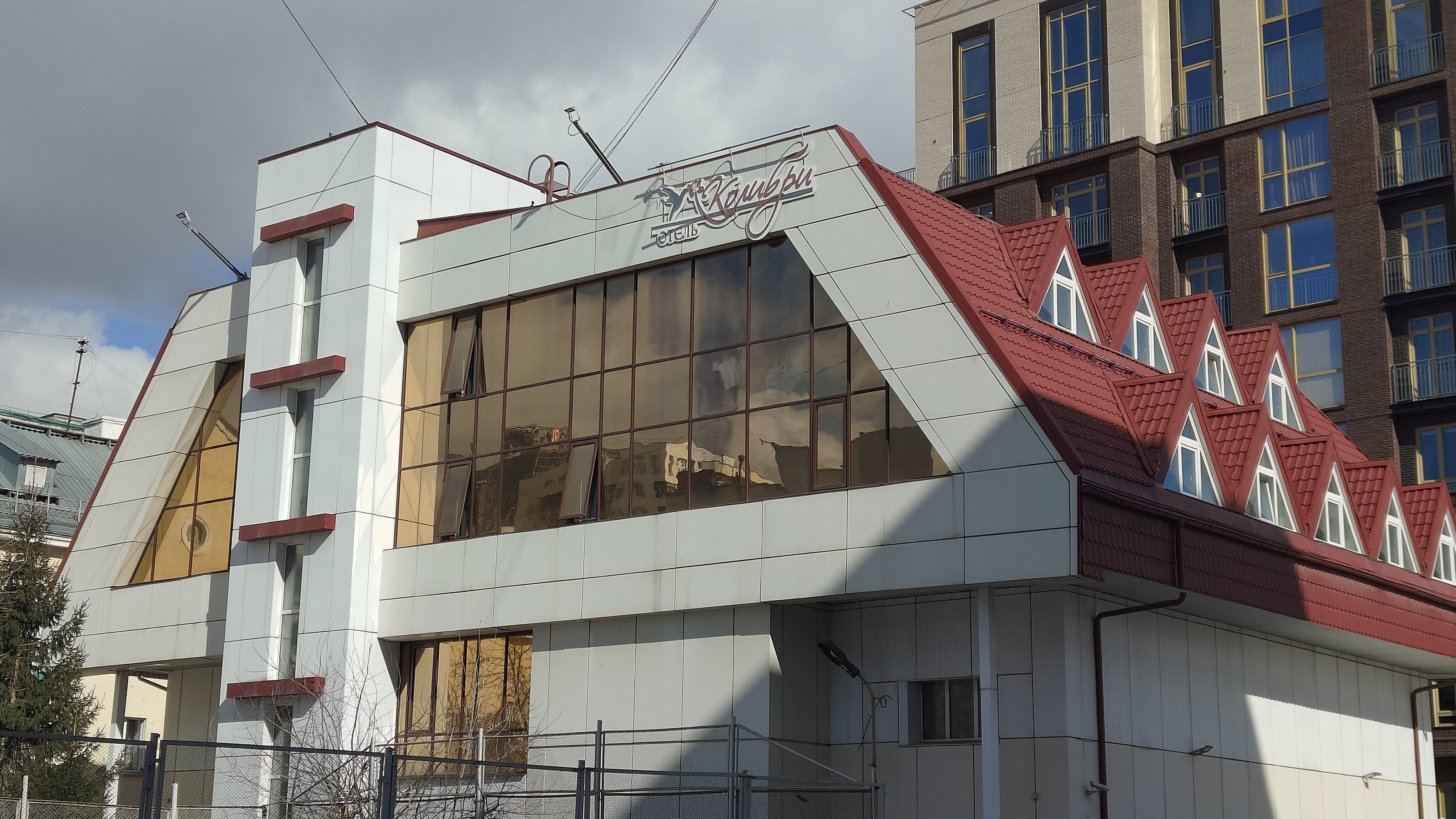 Фото Колибри