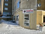 ЛавГав (Papanincev Street, 123), pet salon