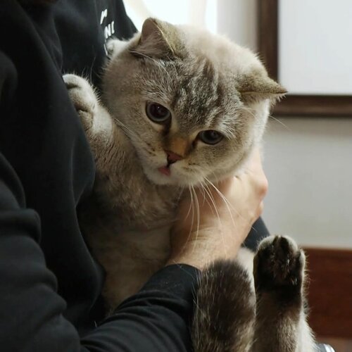 Dunyodagi eng chiroyli porno ayollar