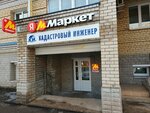 Кадастровый инженер (Leningradskaya Street, 24), trabajo catastral