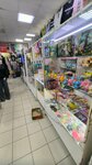 Igrushki (Kyshtymskaya ulitsa, 18), toys and games