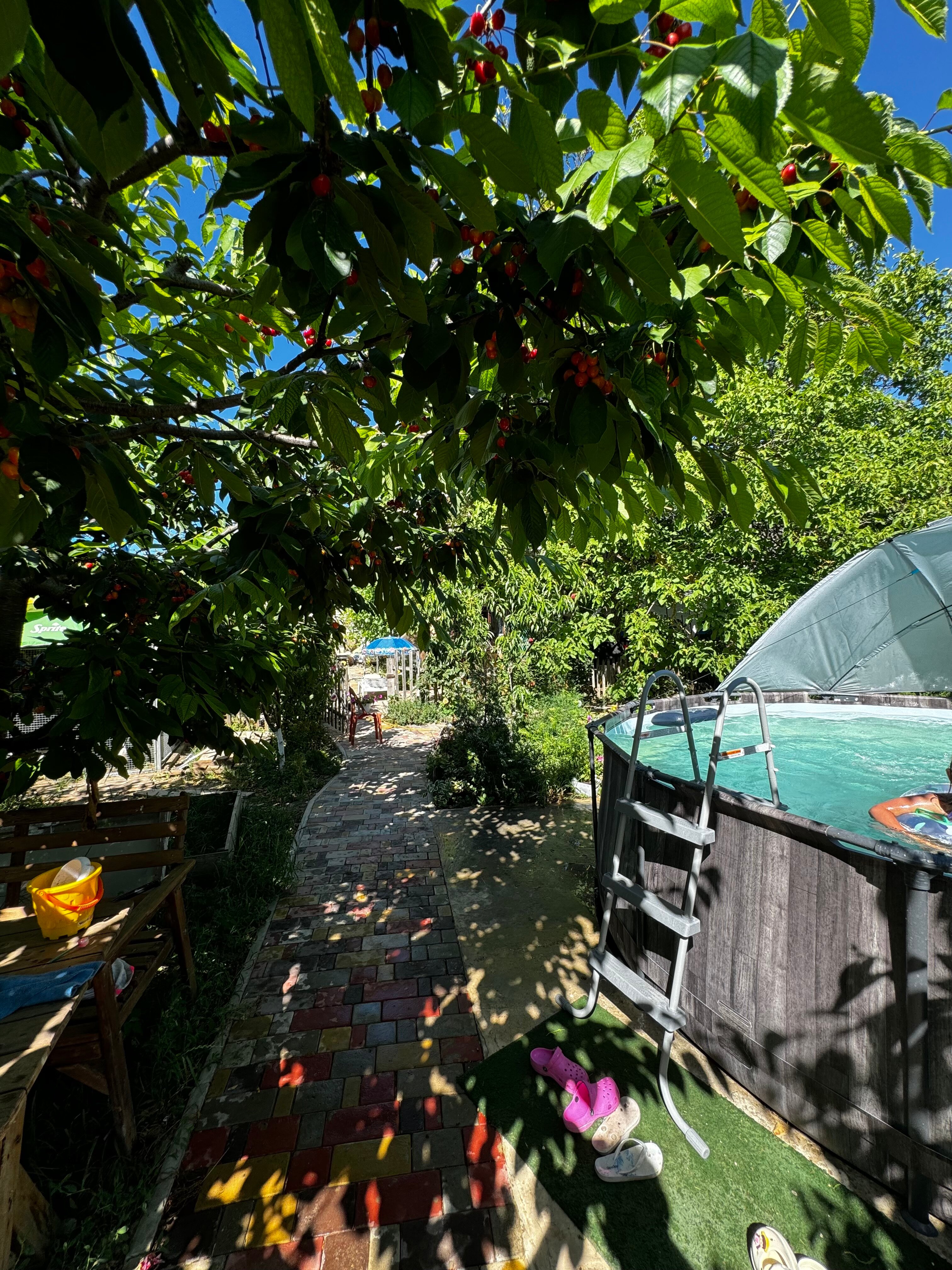 Фото Green House