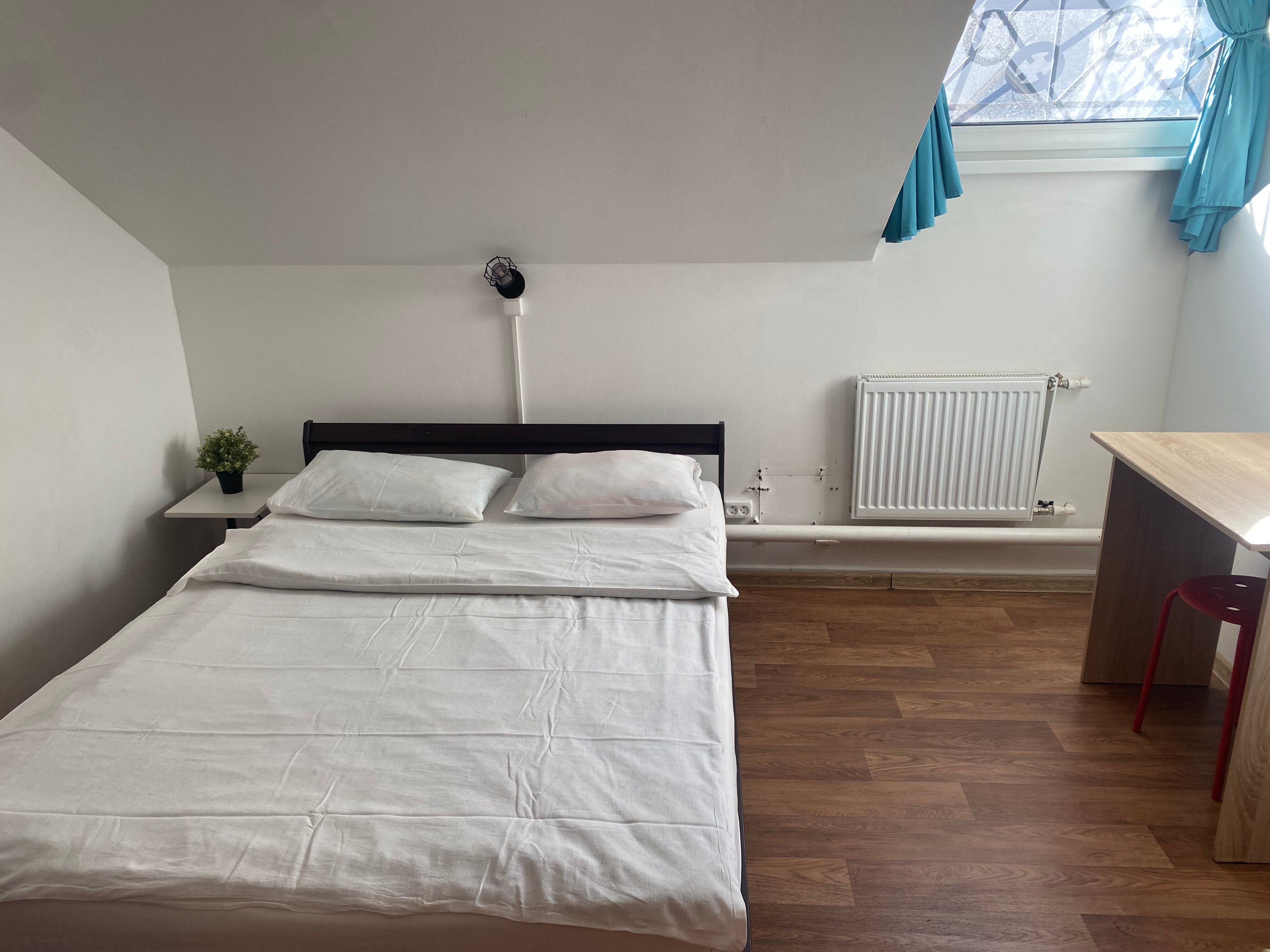 Фото Петя и Волк