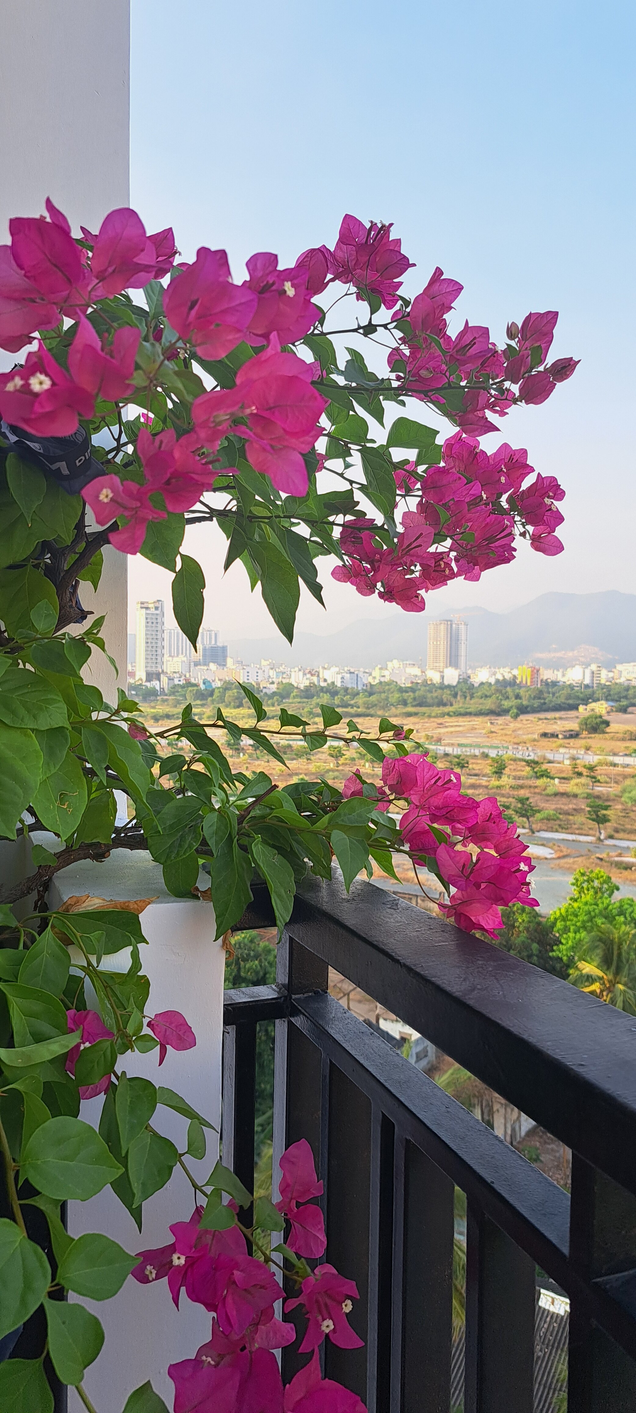 Фото An Vista Hotel