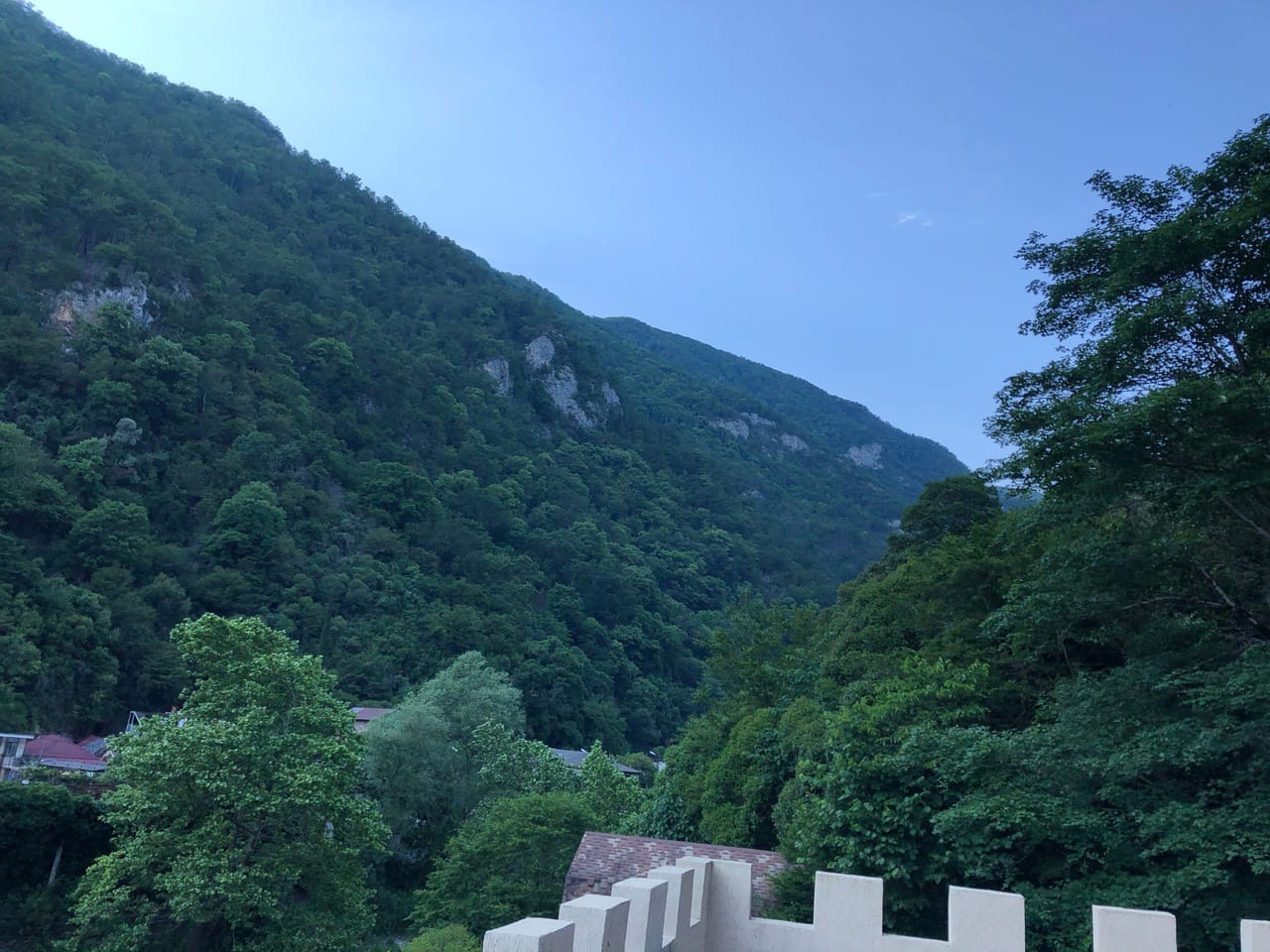 Фото Гостевой дом Старая Гагра