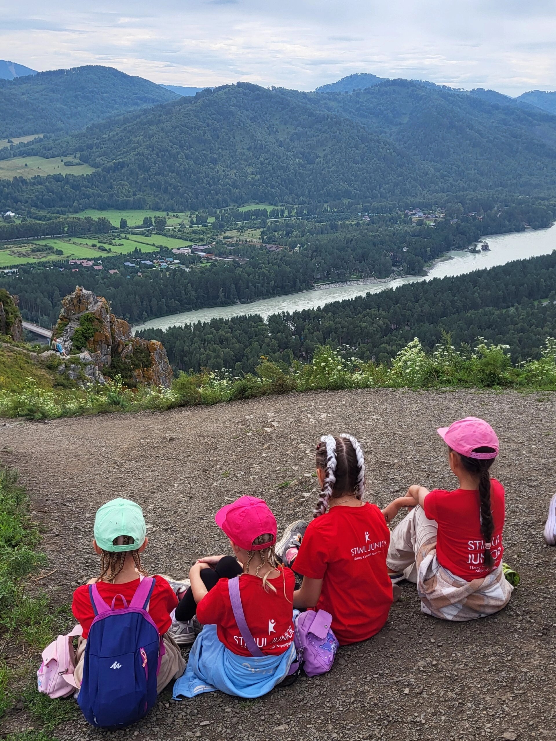 Фото Колибри