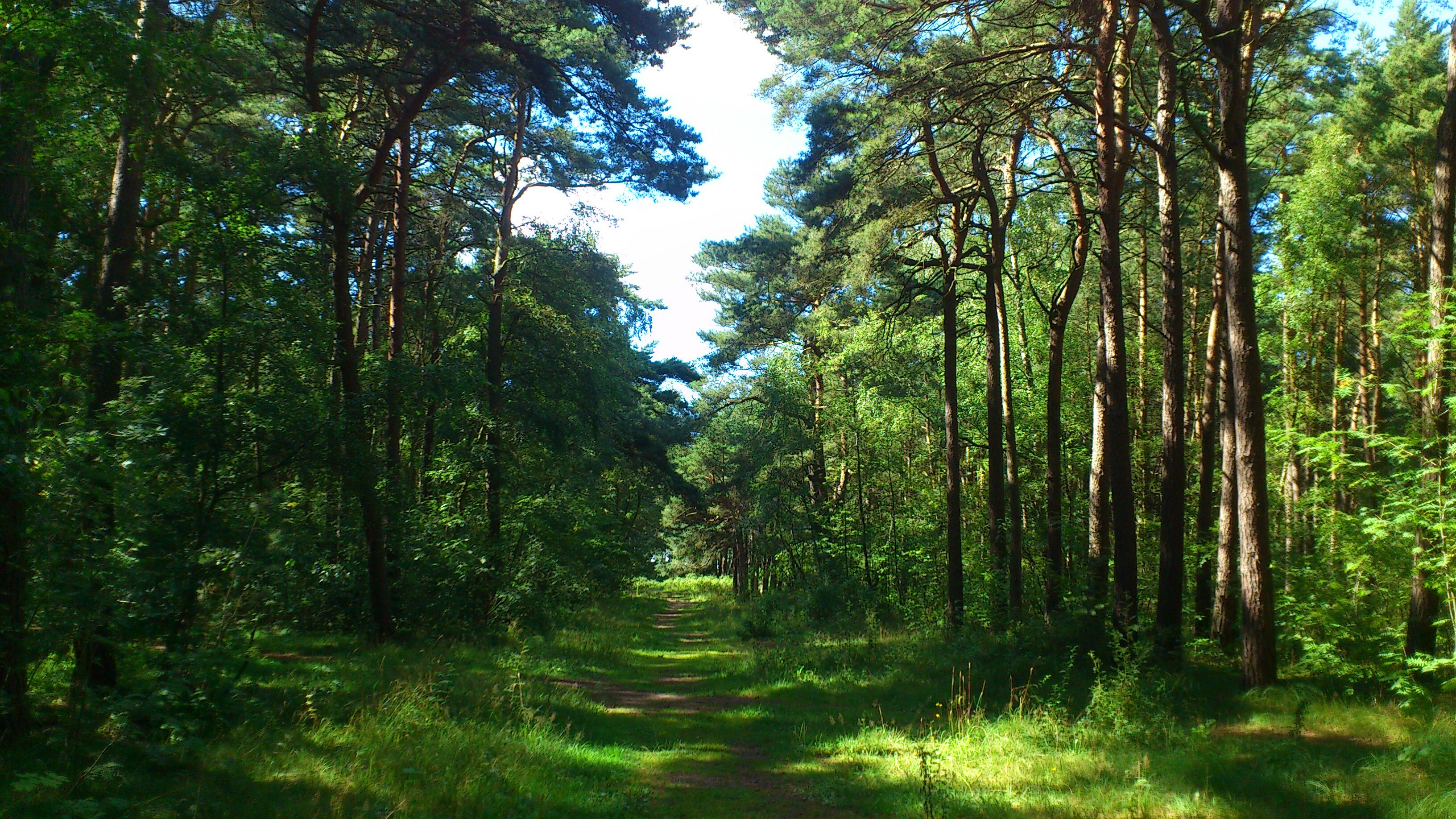 Фото Дача у моря