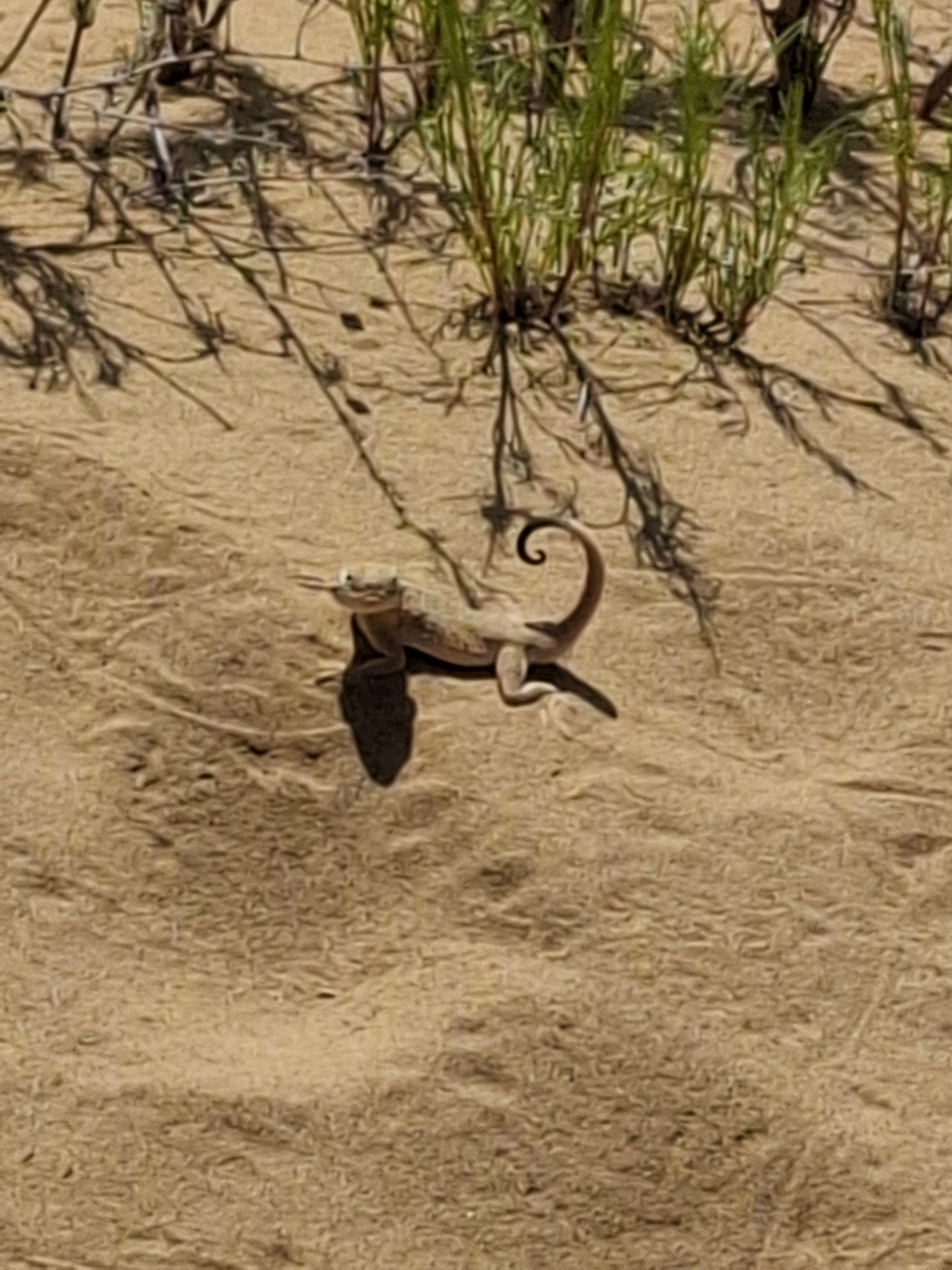 Фото 4 сезона