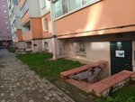 Автомобильные грузоперевозки (Raakhe Street, 62) ، متعهد النقل