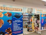 Чеширский кот (Volgograd, V.I. Lenina Avenue, 144), pet shop