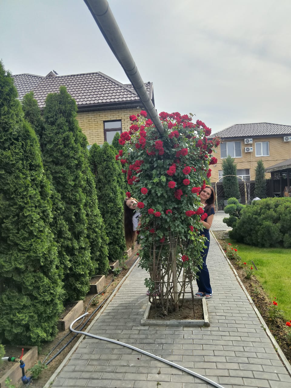 Фото Атмосфера