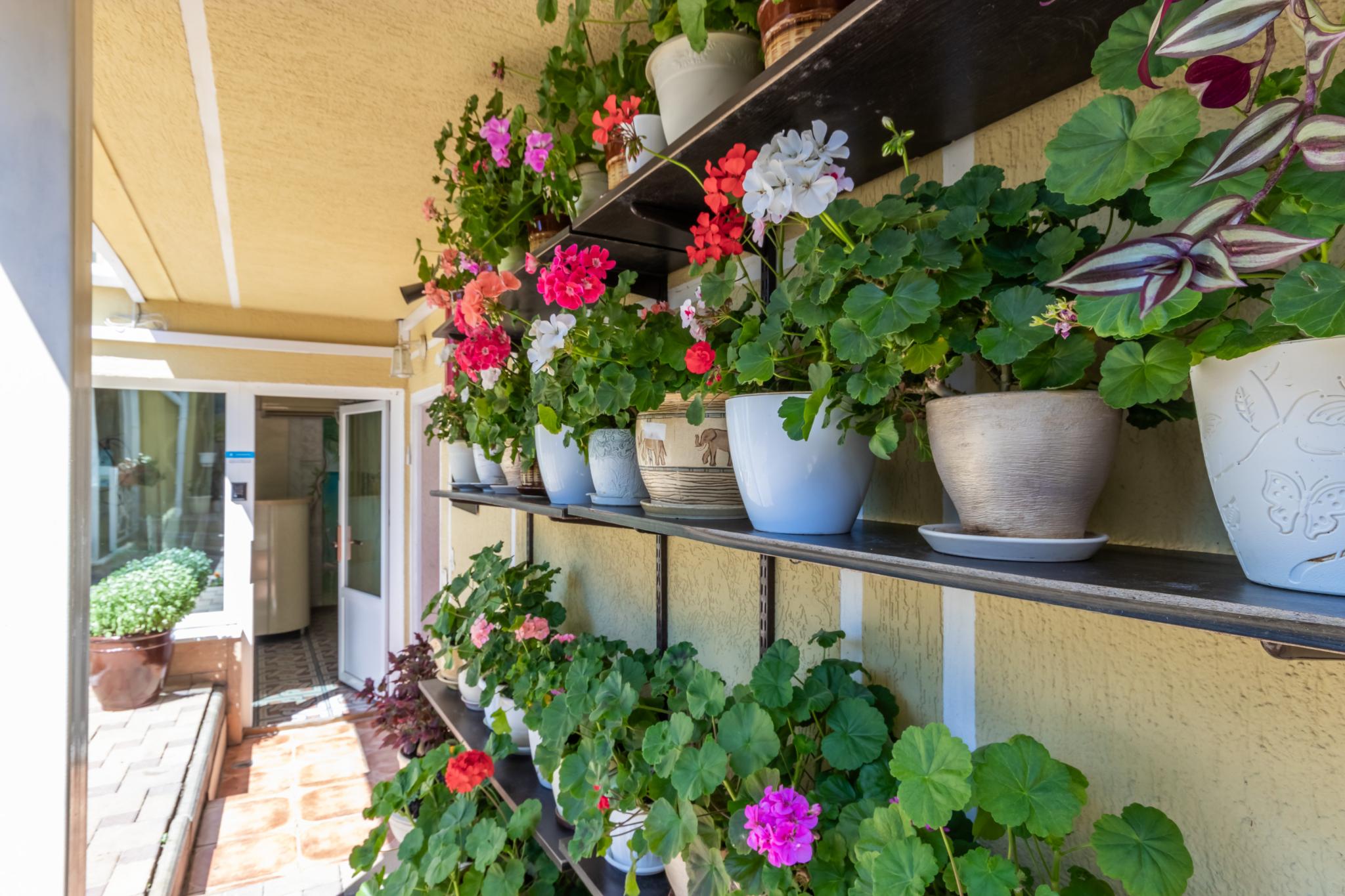 Фото Малахит