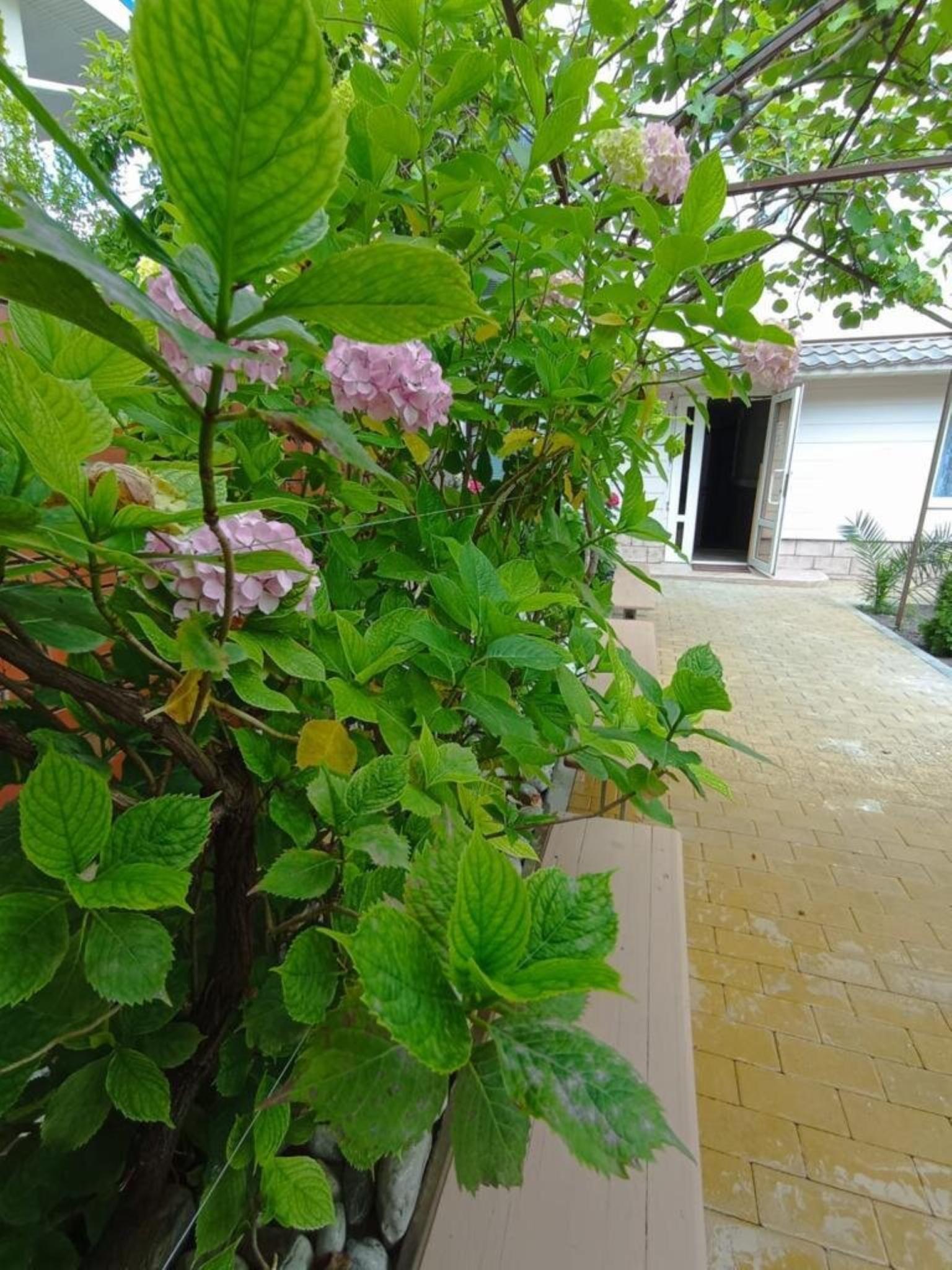 Фото Море Рядом