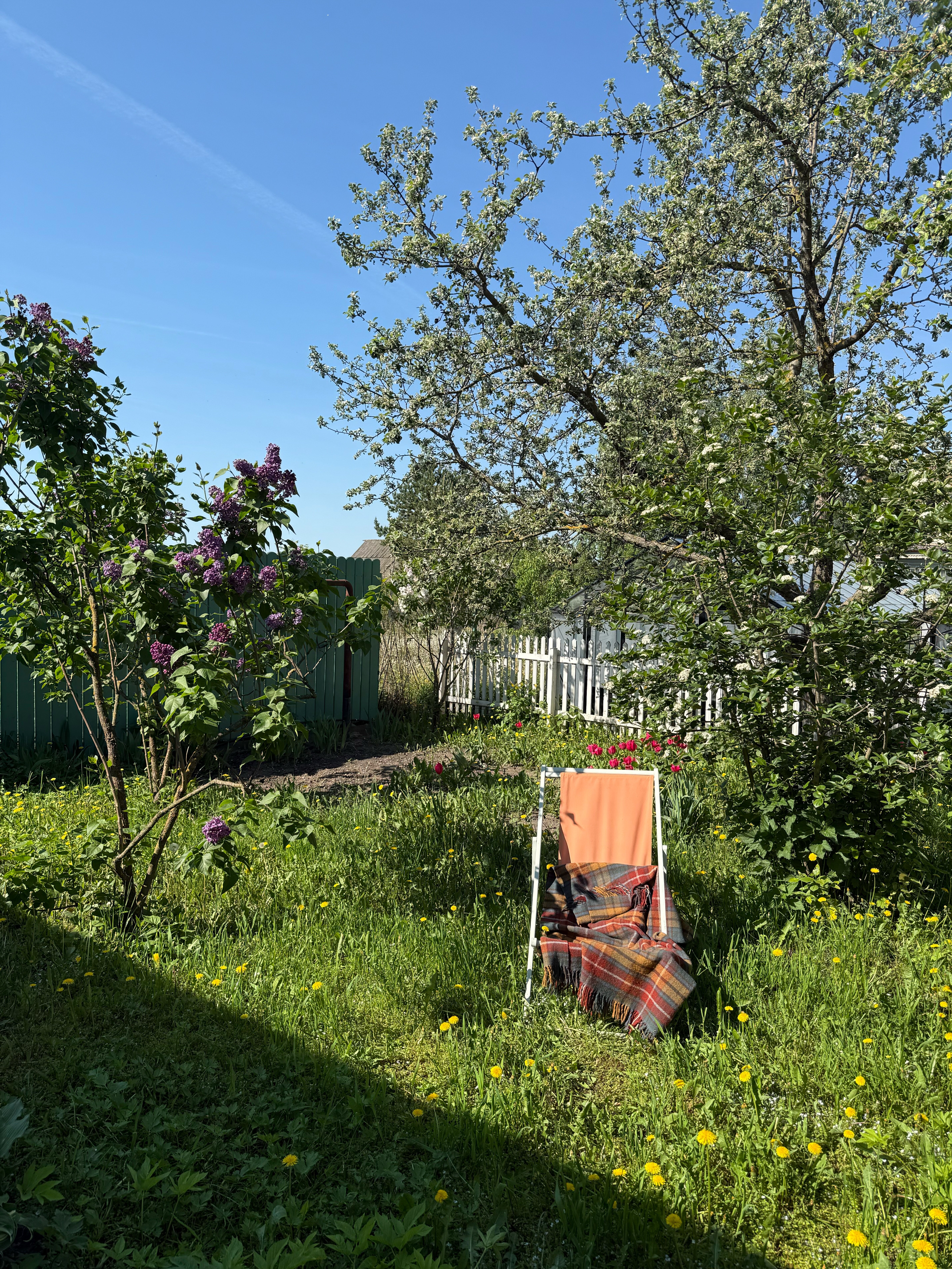 Фото Дымов Дача - Синий Дом