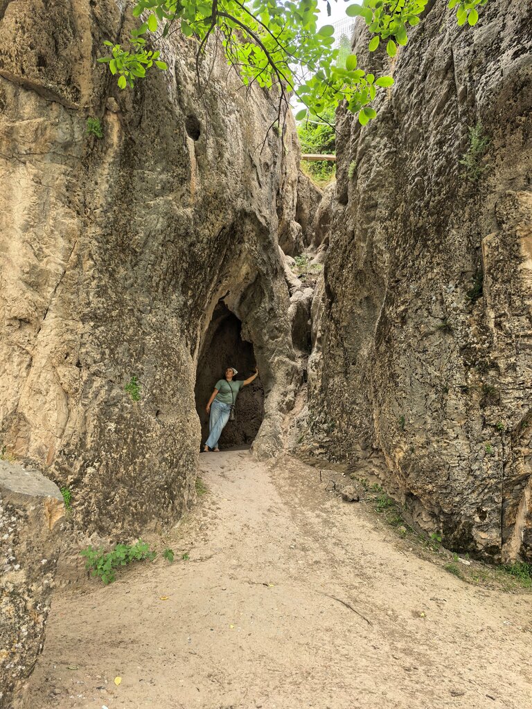 Landmark, attraction Ancient Petroglyphs, Tashkent Province, photo