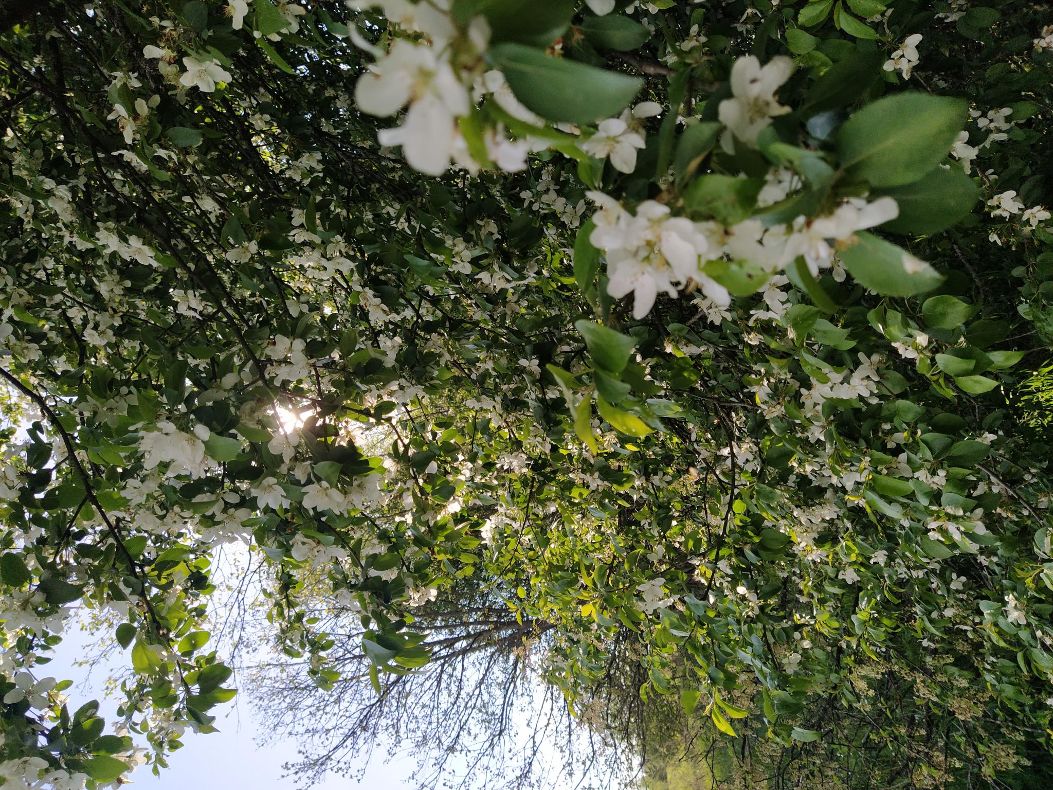 Фото Loza resort