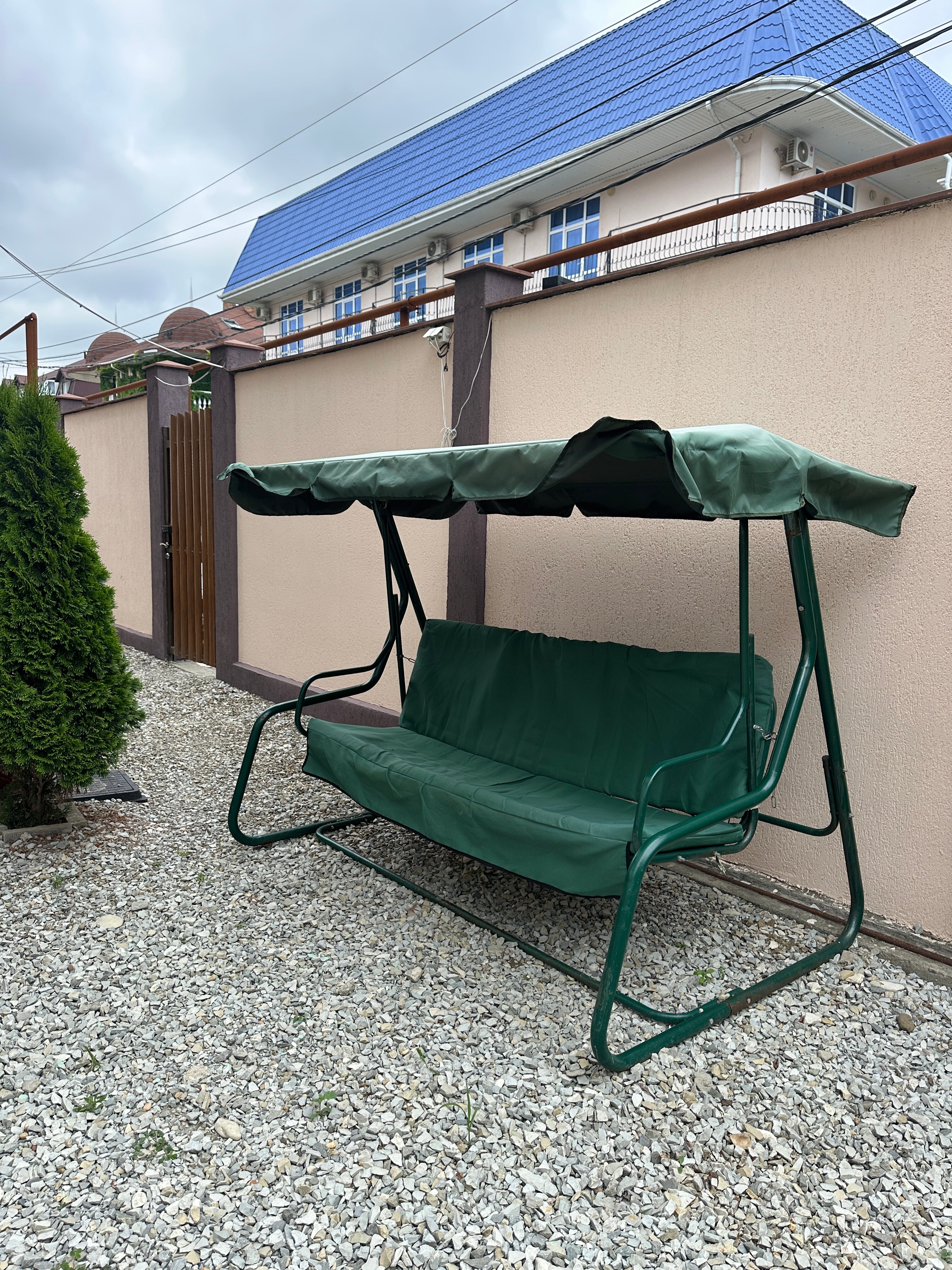 Фото Золотой абрикос