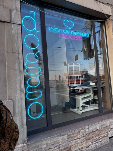 Pet salon Doggo, Saint Petersburg, photo