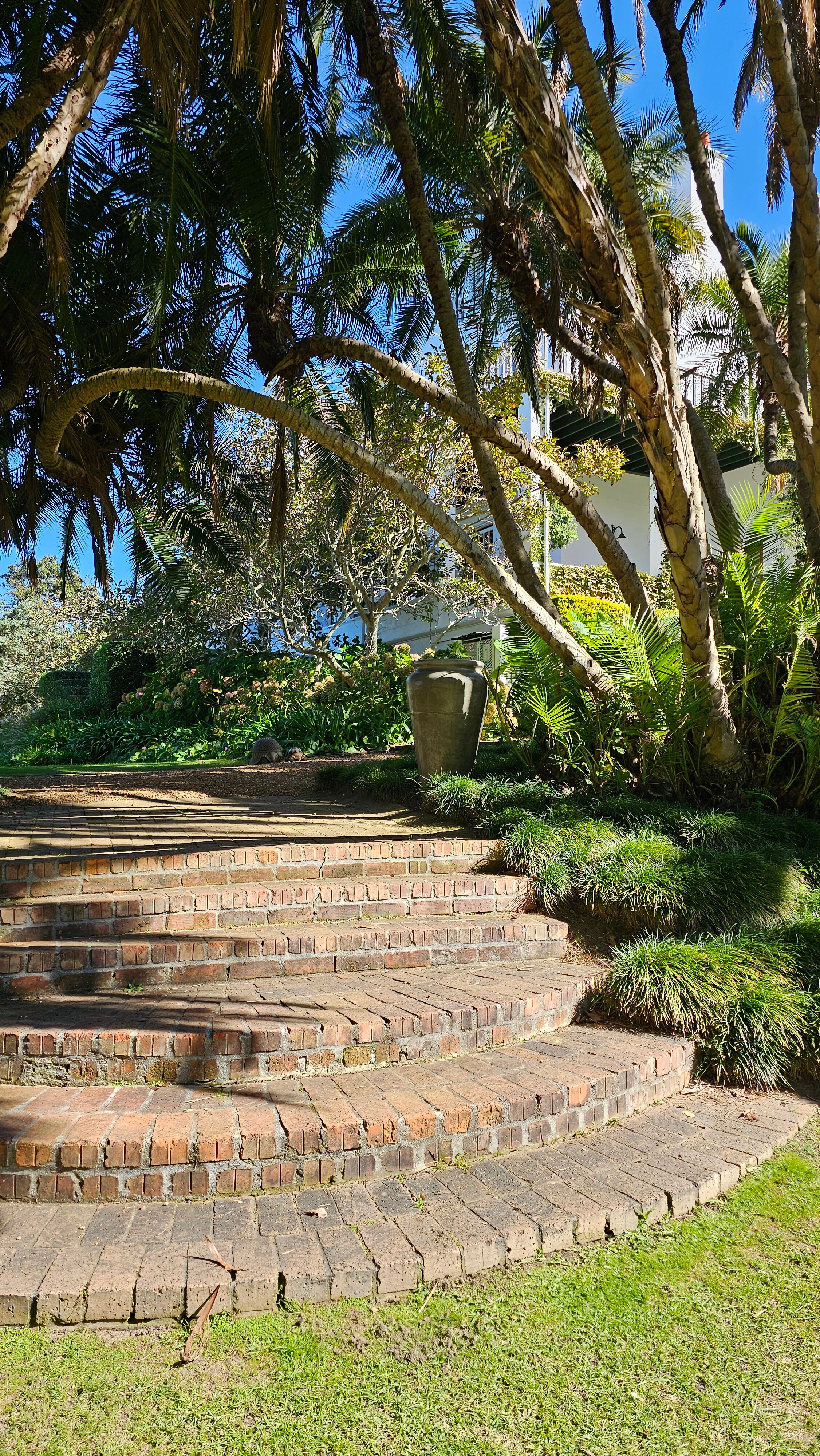 Фото The Cellars Hohenort