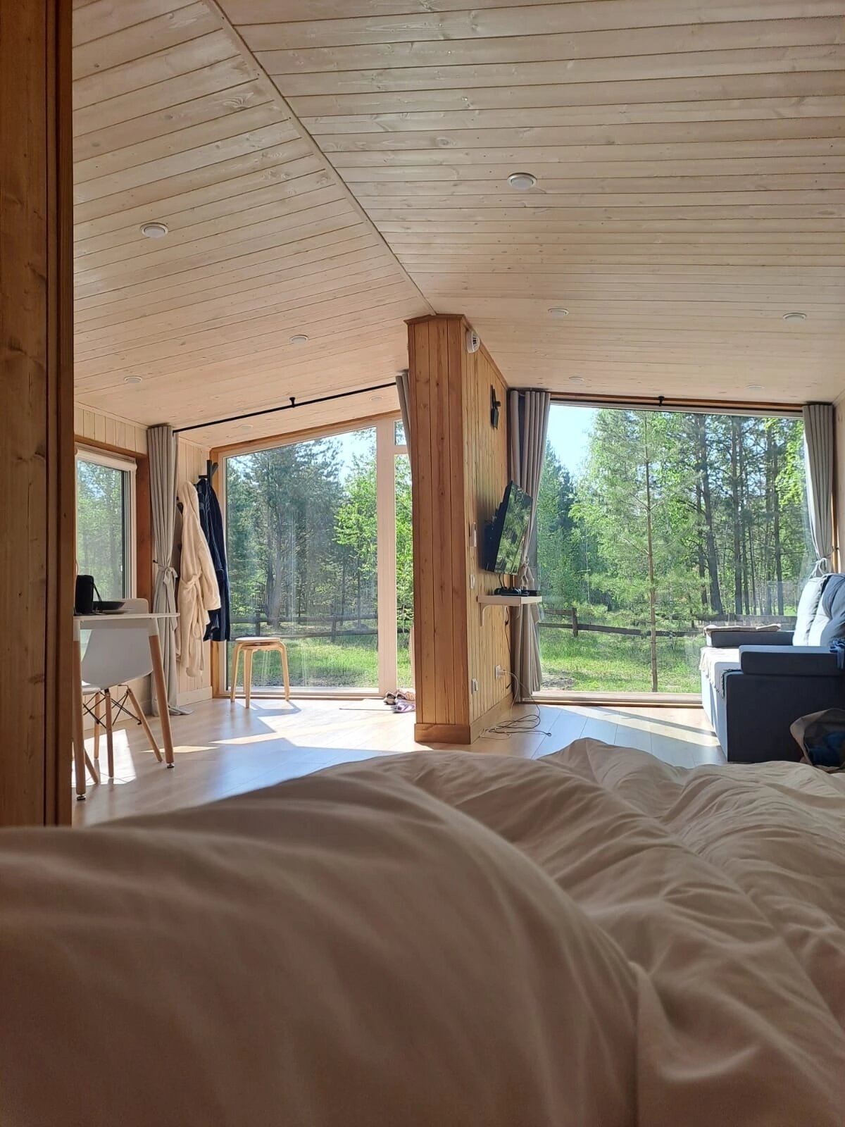 Фото Ветер в соснах