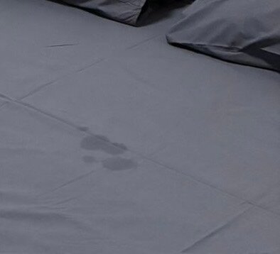 Фото Берлога