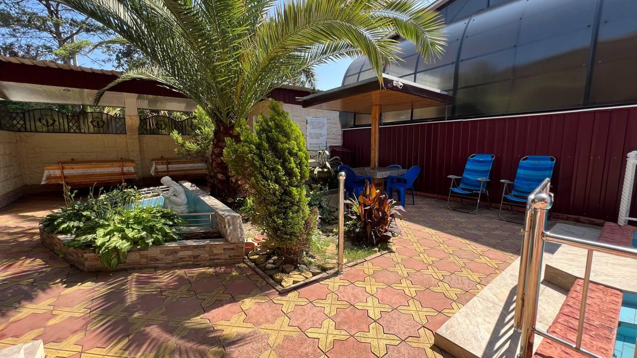 Фото Камелия