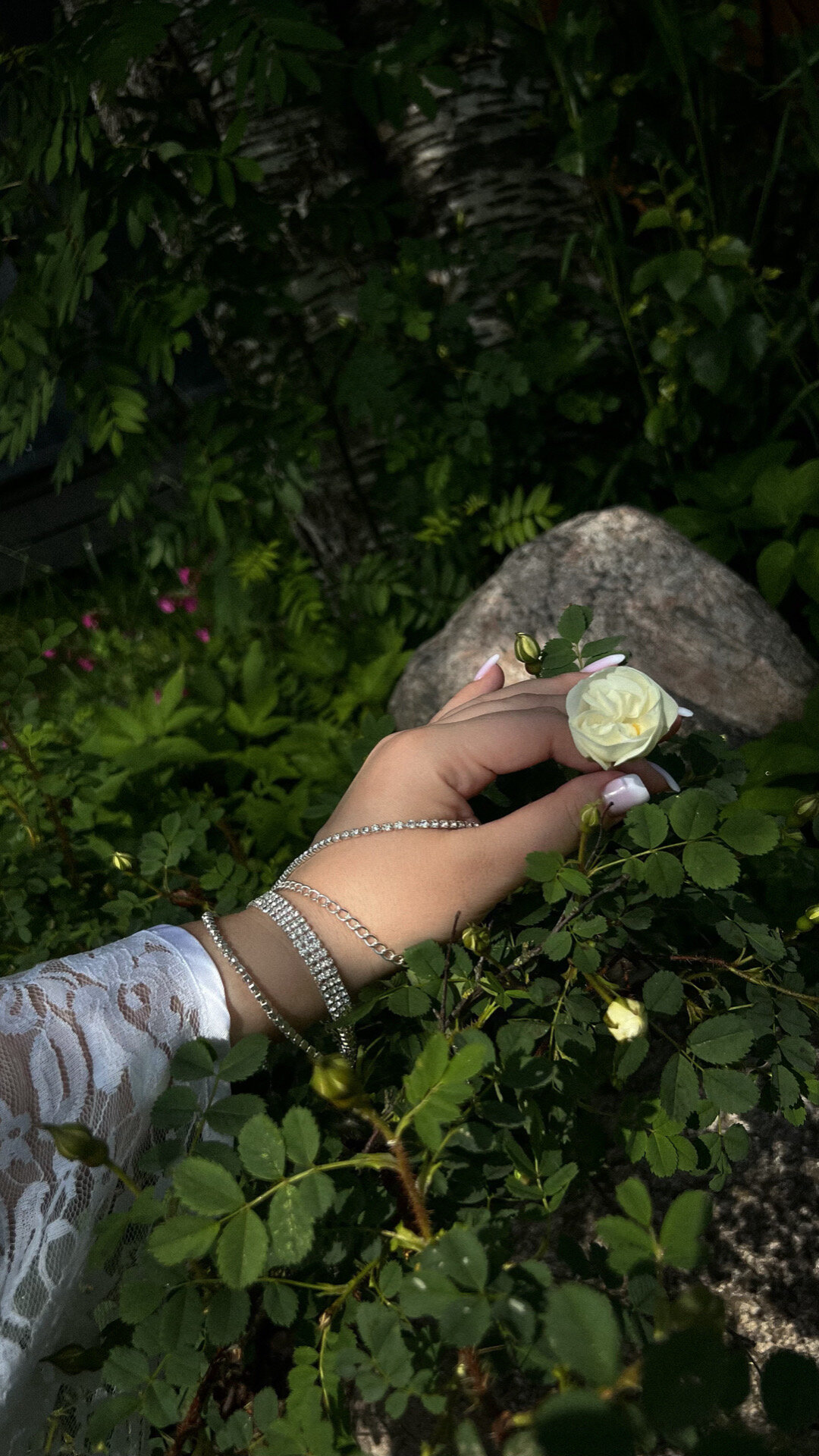 Фото Мята. Club