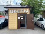 Tsvetochny Ostrov (Profsoyuznaya Street, 128к2) ، محل زهور