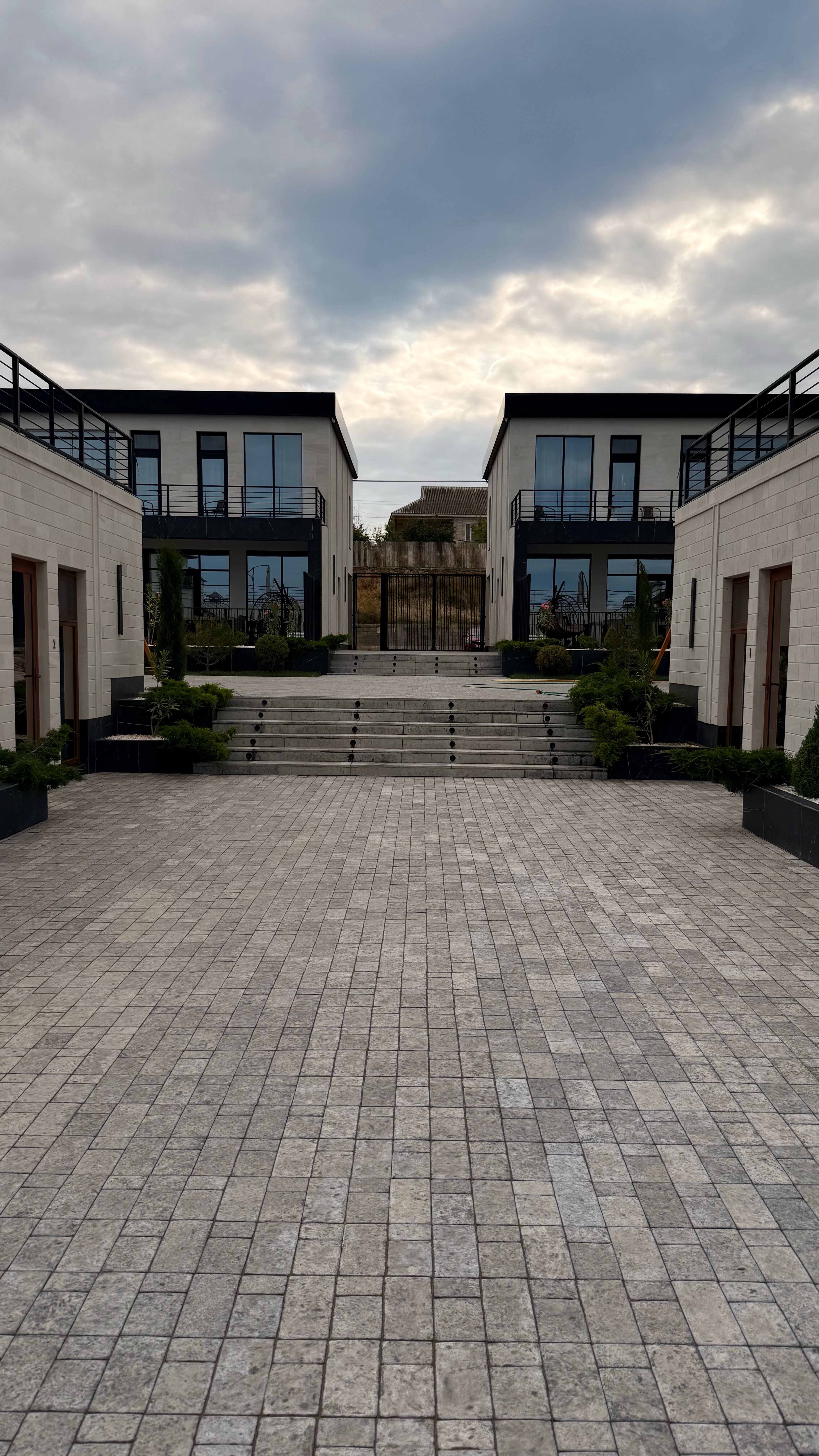 Фото Павлония